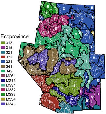 Hierarchical Bayesian Small Area Estimation Using Weakly Informative Priors in Ecologically Homogeneous Areas of the Interior Western Forests